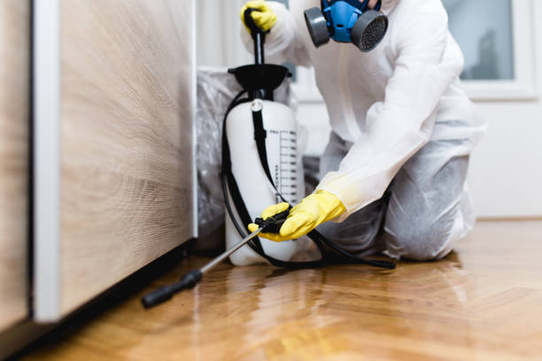 Best Pest Prevention Services  in West Wood, UT