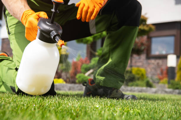 Best Wildlife Control Services  in West Wood, UT