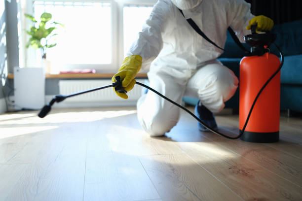 Best Bed Bug Extermination  in West Wood, UT