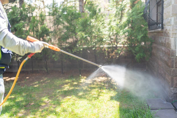 Best Pest Removal Services  in West Wood, UT