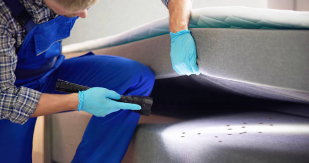 Pest Control for Restaurants in West Wood, UT