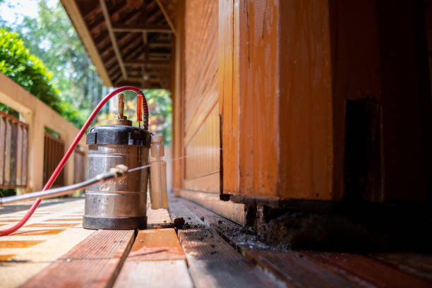 Best Pest Control for Businesses  in West Wood, UT