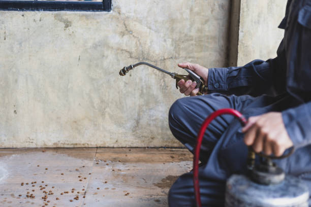 Best Commercial Pest Control Services  in West Wood, UT